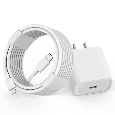 iPhone Charger